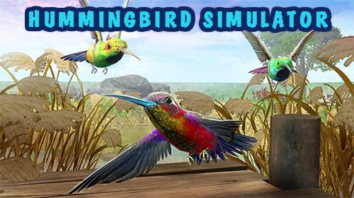 download Hummingbird simulator 3D apk